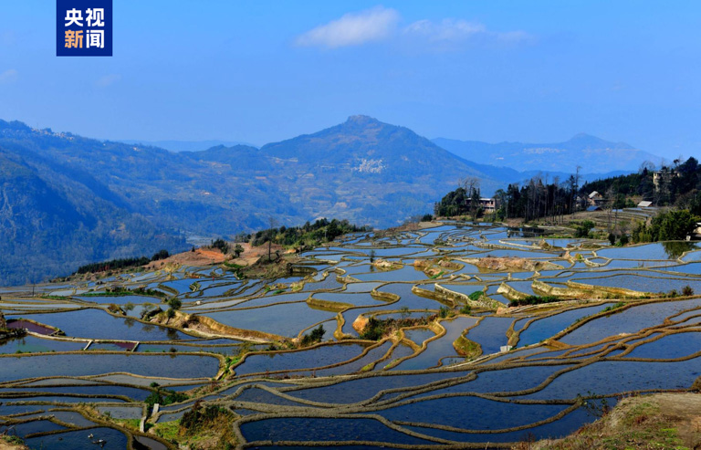 1757551360360433.jpg 2.1.jpg