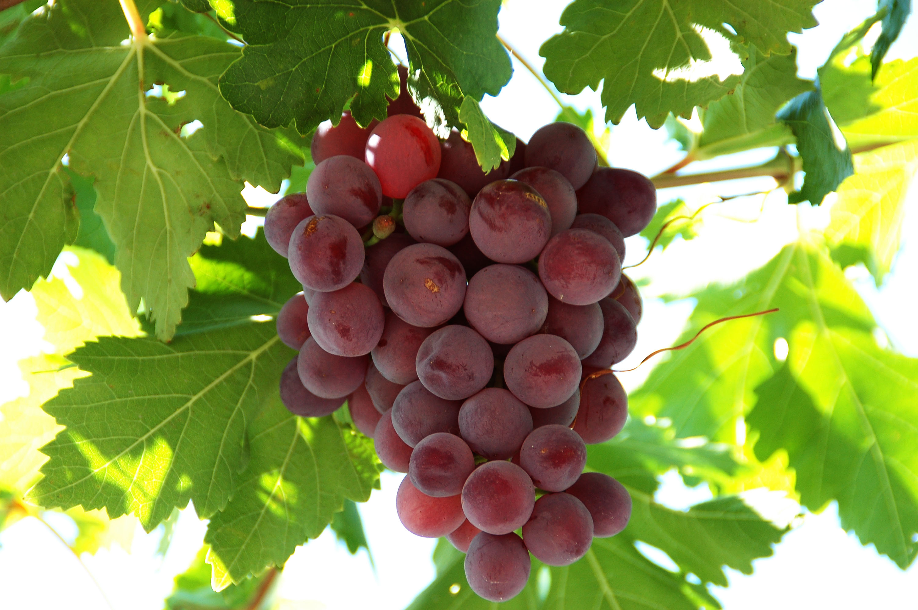 1757554320654068.jpg 1.jpg