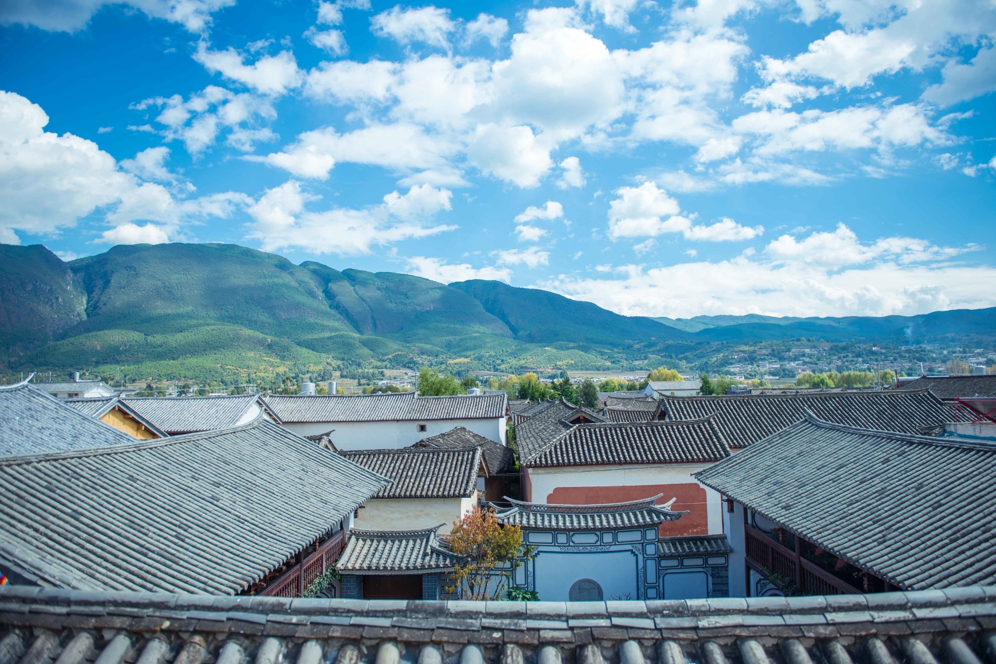 1757641484919707.jpg 3.jpg