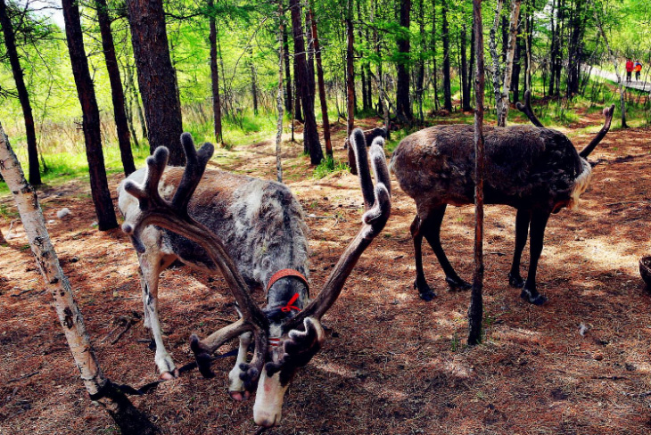 1758076399689364.jpg 2.jpg