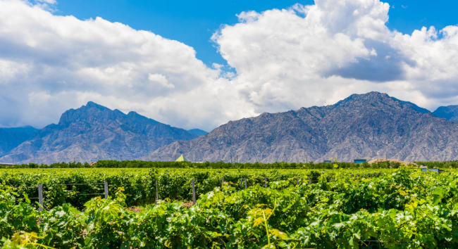 1758502558358167.jpg 2.jpg