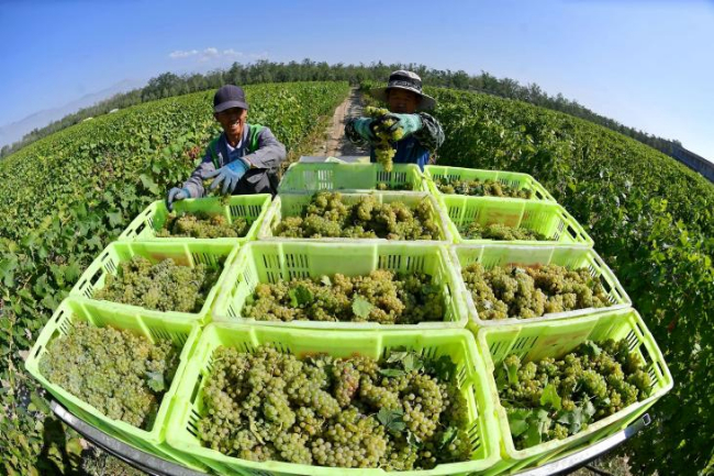 1758502666192222.jpg 3.jpg