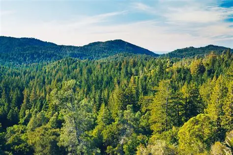 1758771828122942.jpg 3.jpg