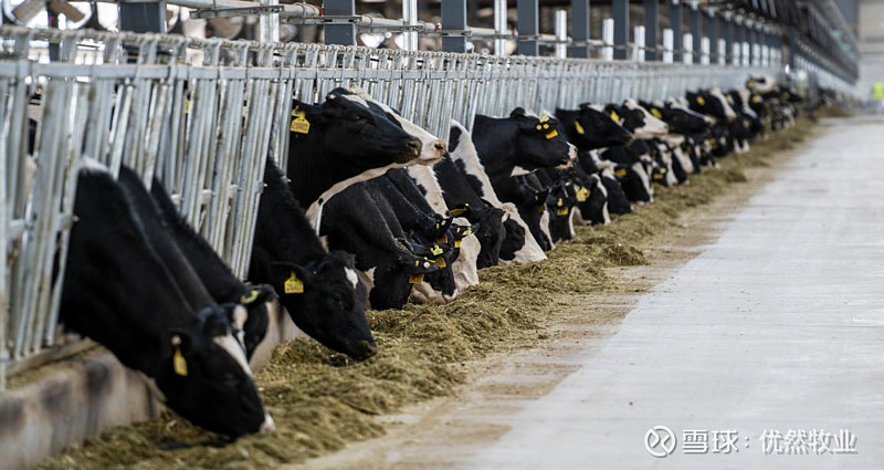 1758874229108833.jpg 3.jpg