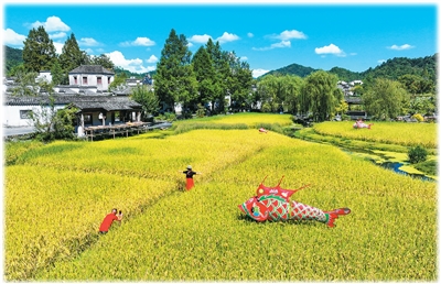 1758933509633734.jpg 4.jpg