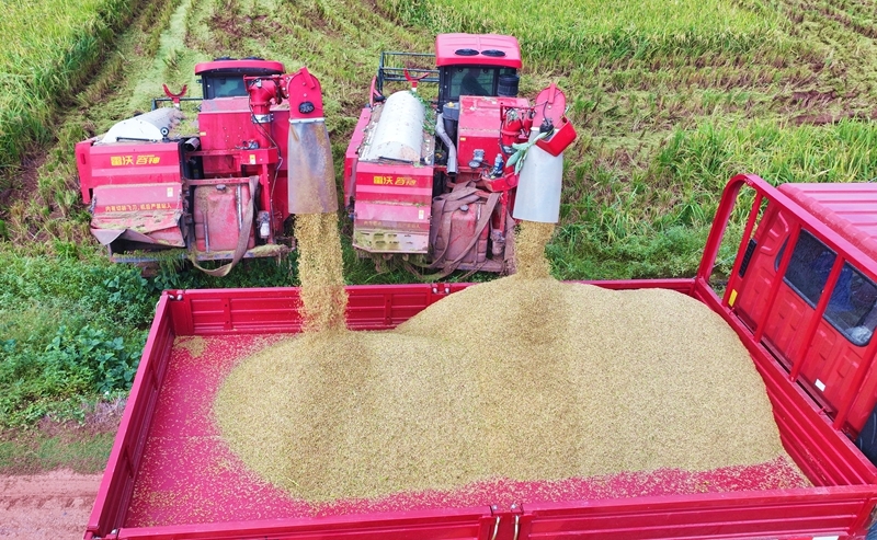 1760925285494671.jpg 3.jpg