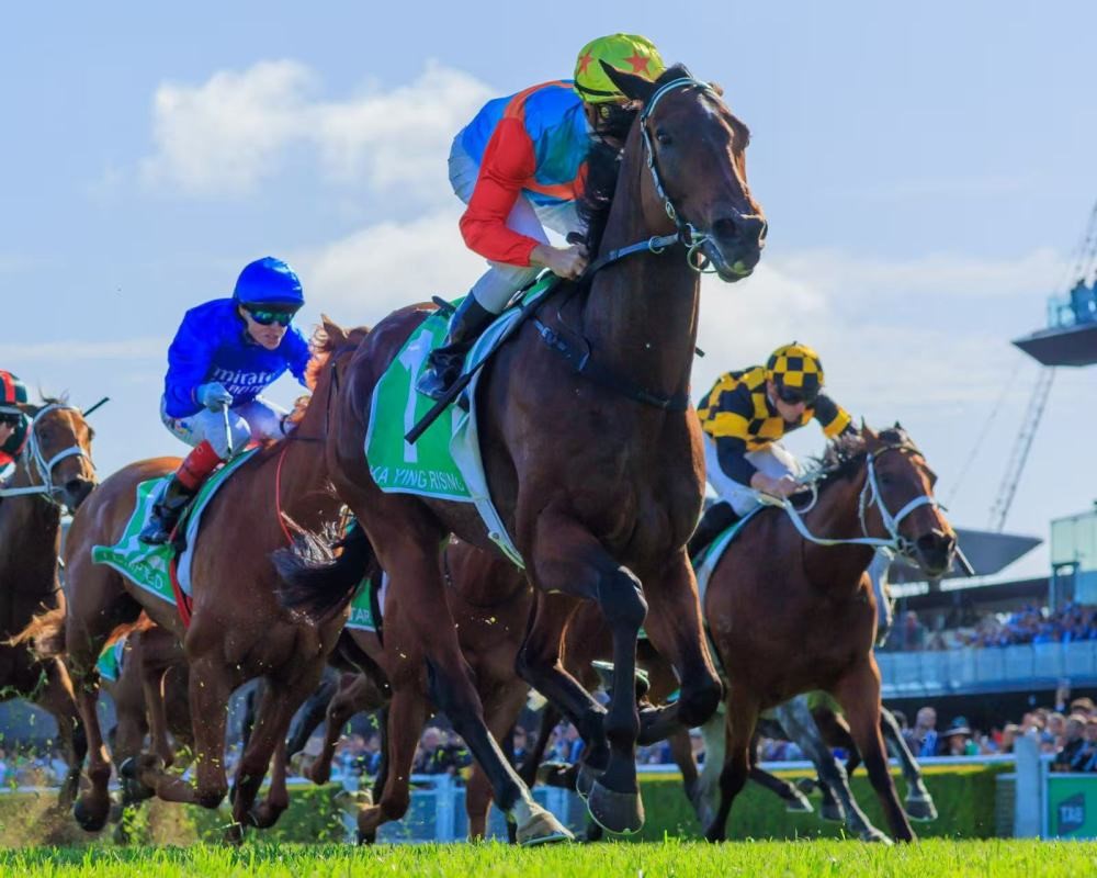 1760928466512975.jpg 2.jpg