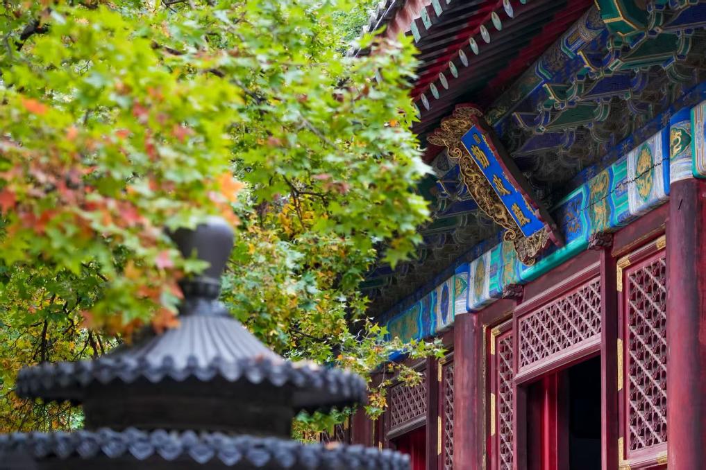 1761014291416404.jpg 5.jpg