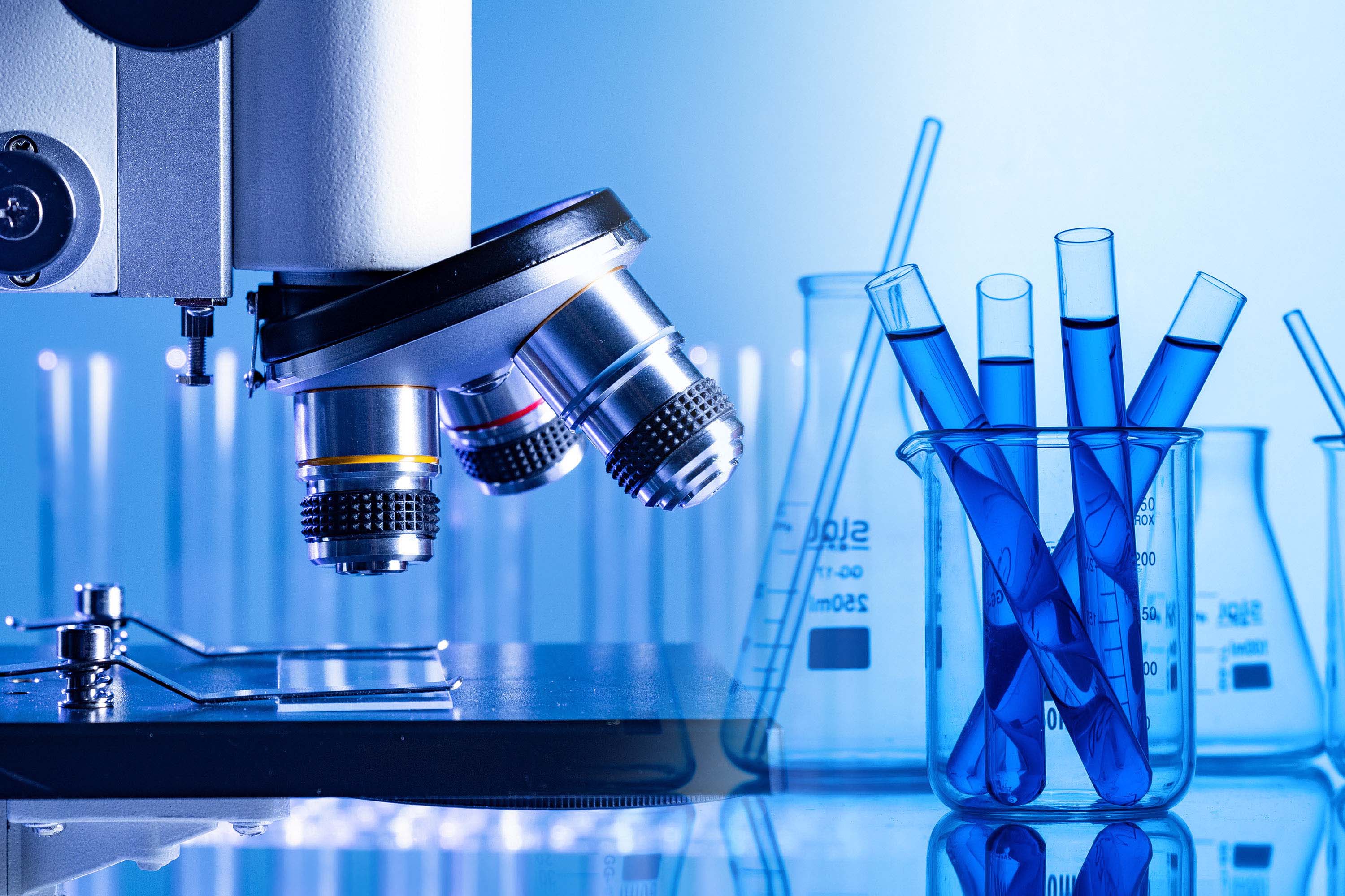 1761017005899135.jpg 3。1.jpg