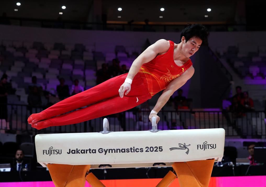 1761274145385627.jpg 1.jpg