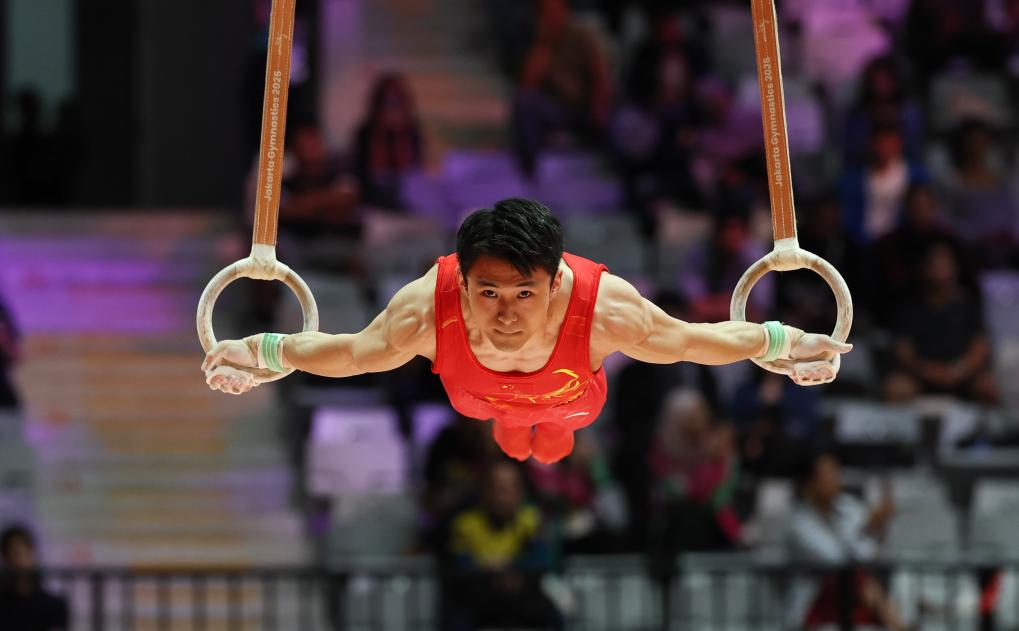 1761274186831251.jpg 2.jpg