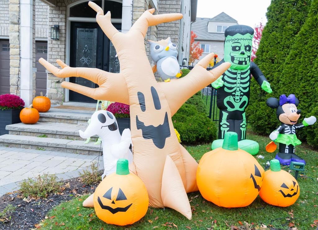 1761706037537242.jpg 1.jpg