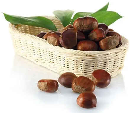 1761794781206522.jpg 3.1.jpg