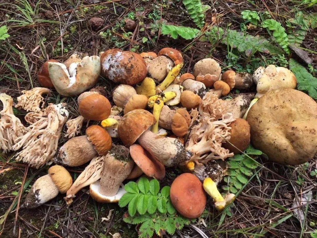 1762486733934930.jpg 3.jpg