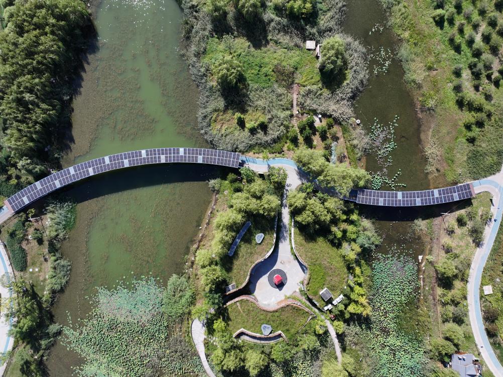 1762916532838776.jpg 2.jpg