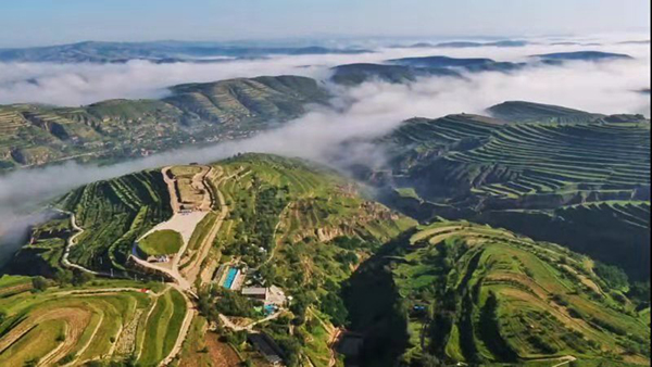 1762918450869745.jpg 3.jpg