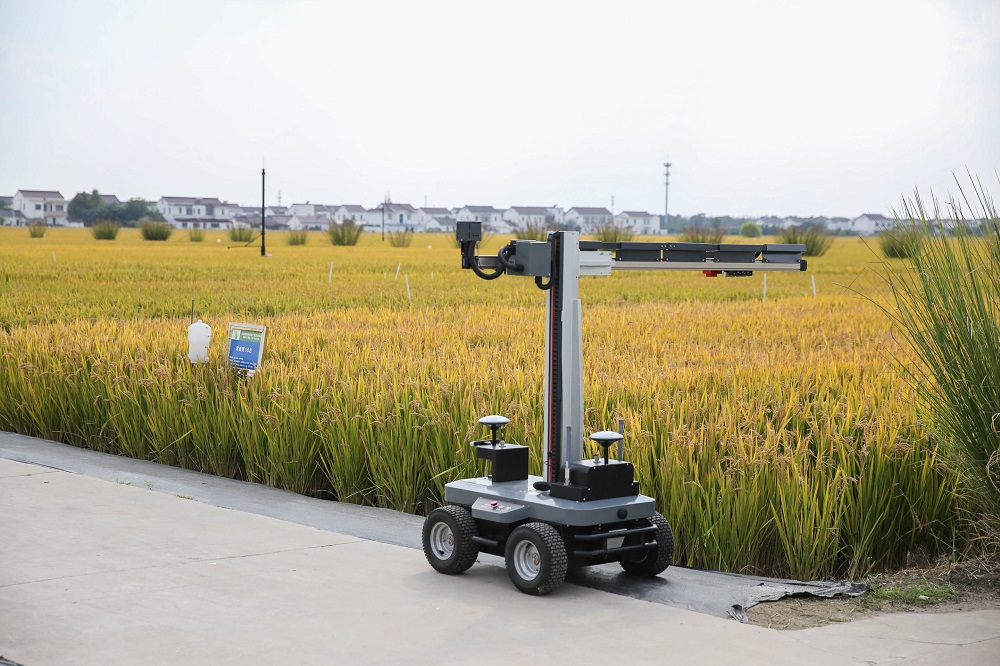 1762920628193158.jpg 3.jpg