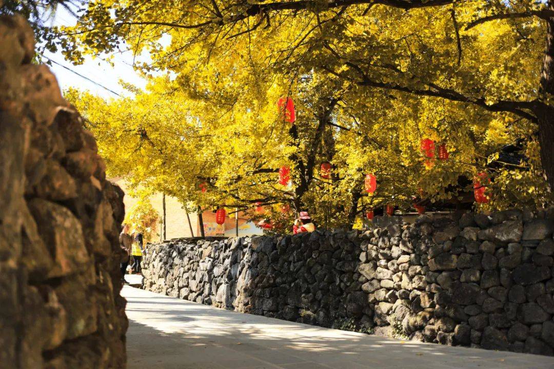 1763086079139245.jpg 3.jpg