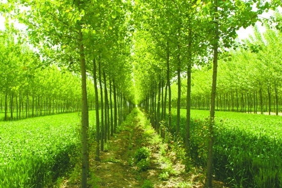 1763087528540089.jpg 3.jpg