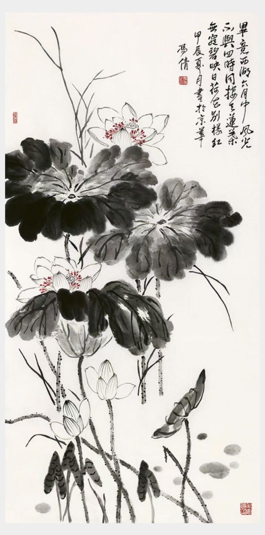 1763110779878248.jpg 12.jpg