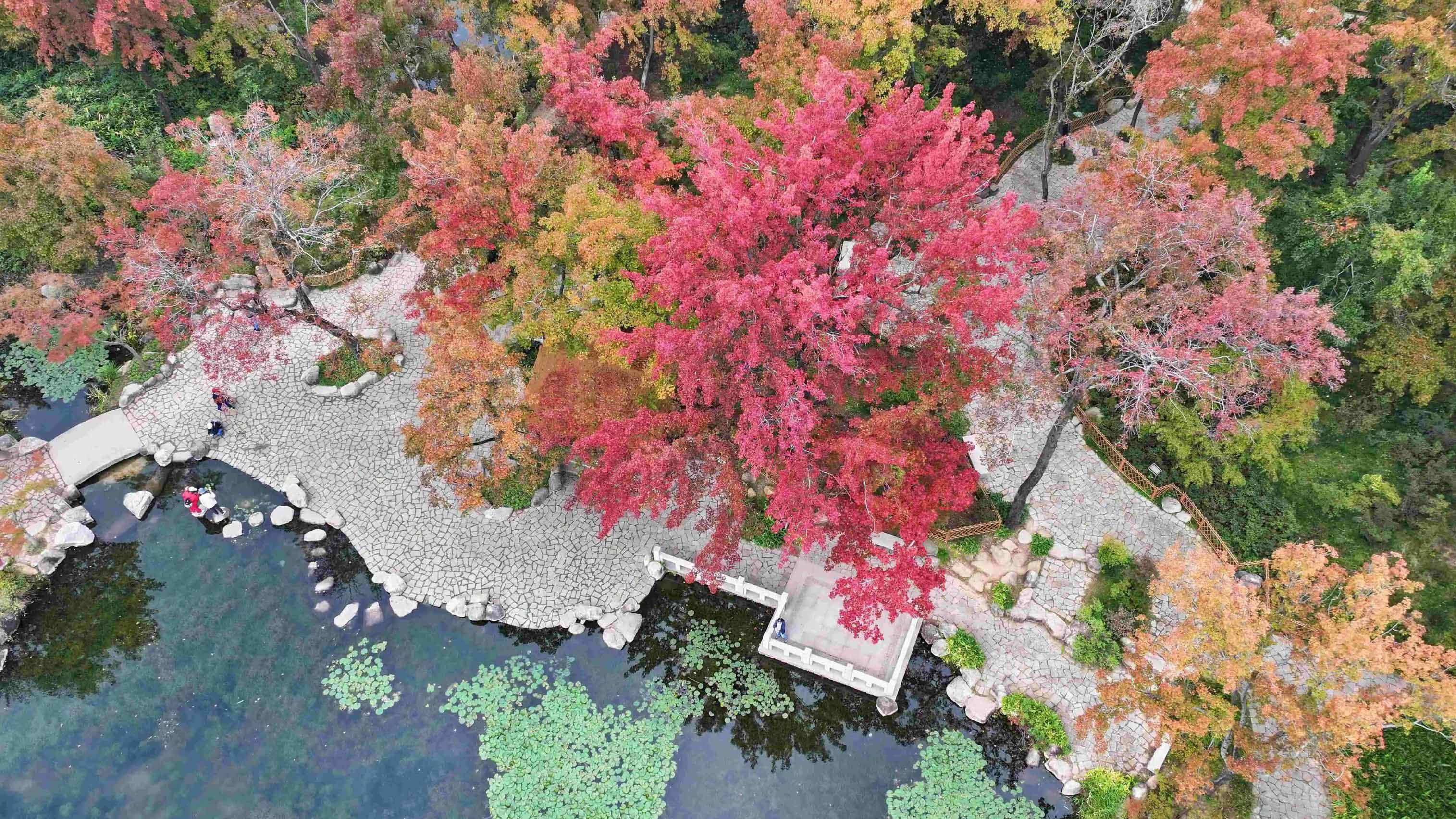 1764038856809302.jpg 4.1.jpg