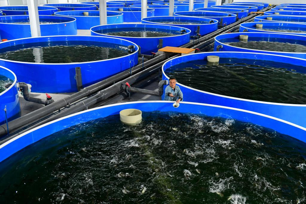 1764301258412115.jpg 5.1.jpg