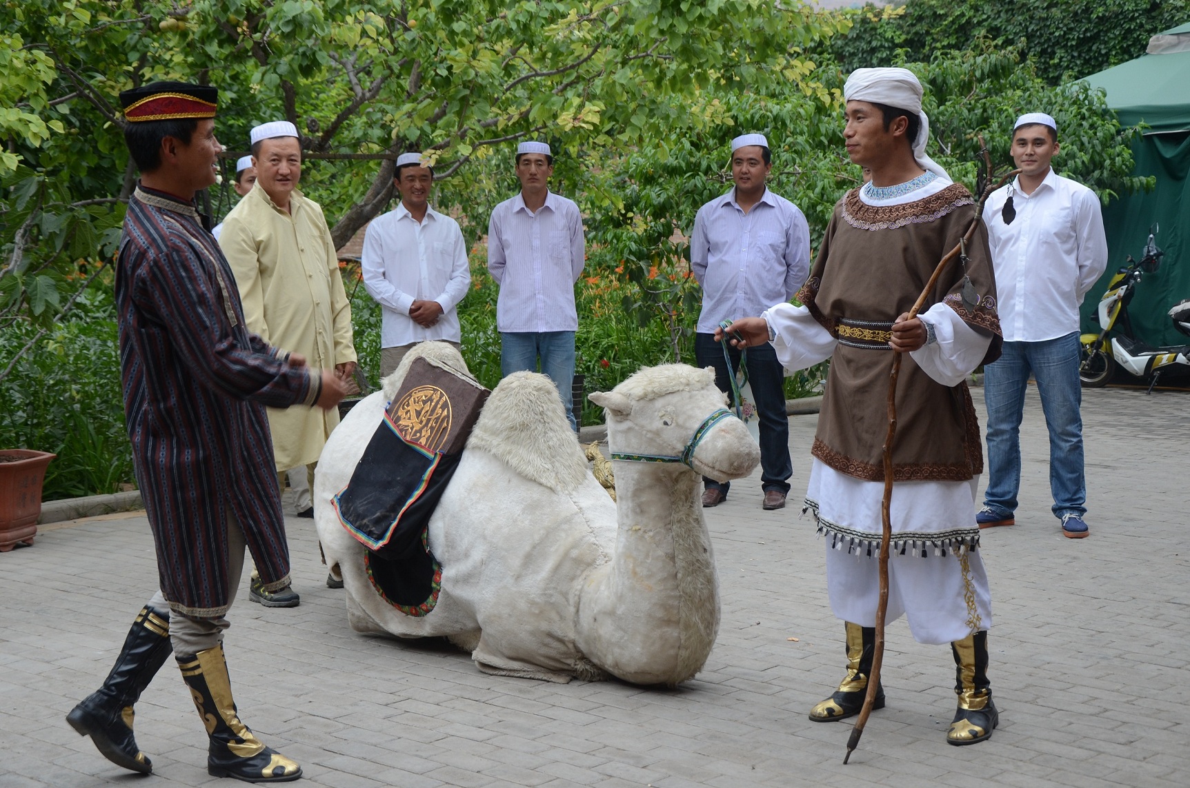 1764301885506218.jpg 3.jpg