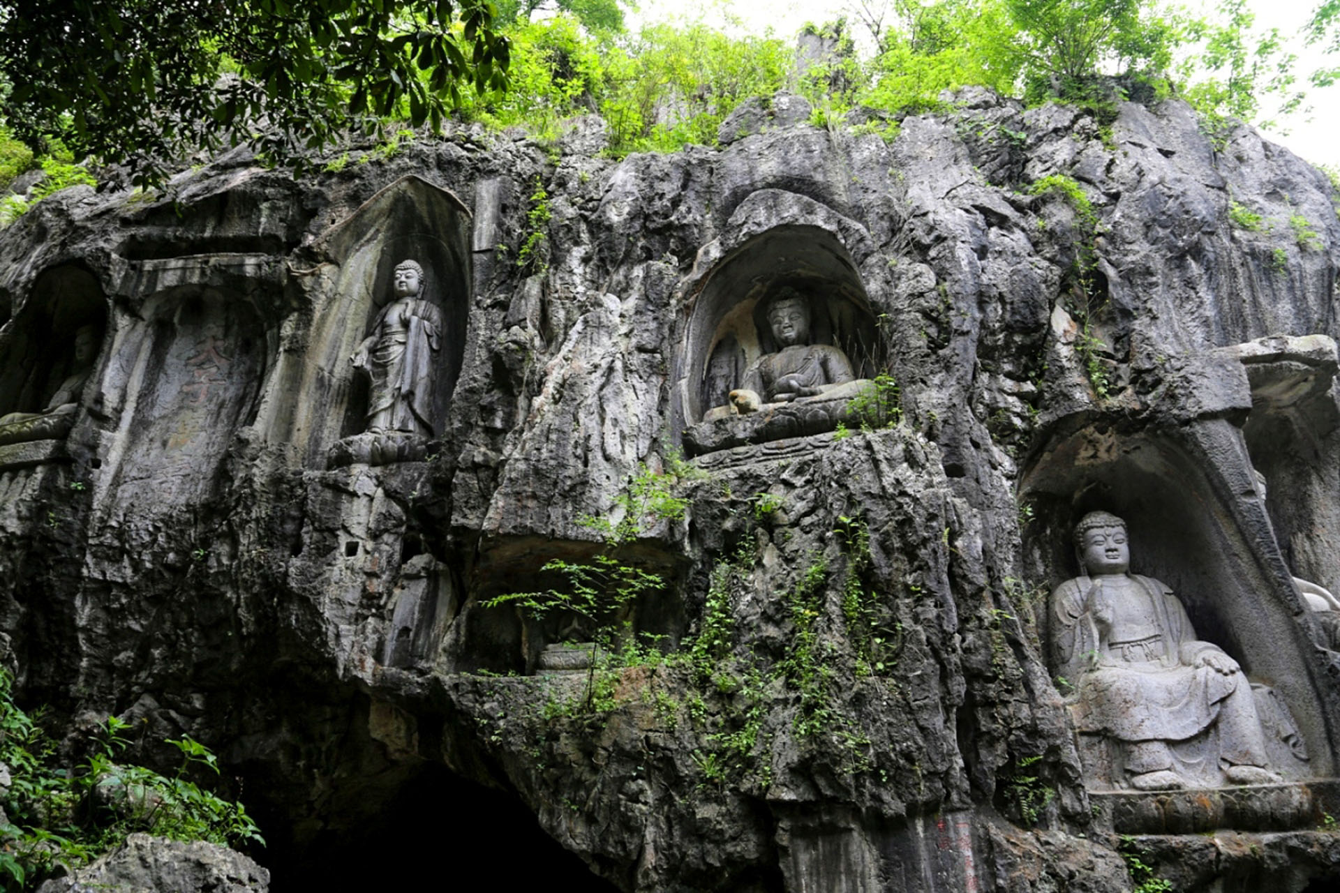 1764641388230404.jpg 5.1.jpg