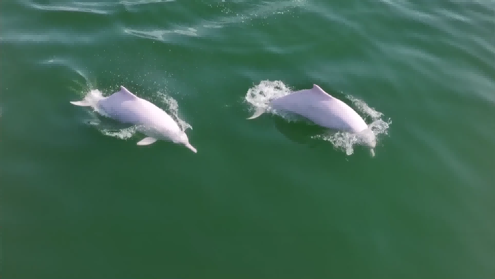 1765163882588846.jpg 3.jpg