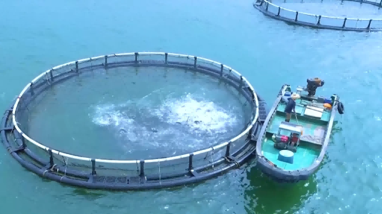 1765163962242145.jpg 7.jpg