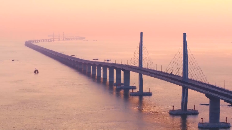 1765163993622115.jpg WPS图片(1).jpg