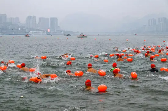 1765166308186141.jpg 3.1.jpg