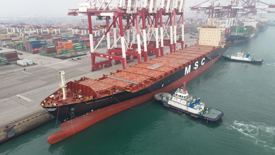 1767576460905932.jpg 3.1.jpg