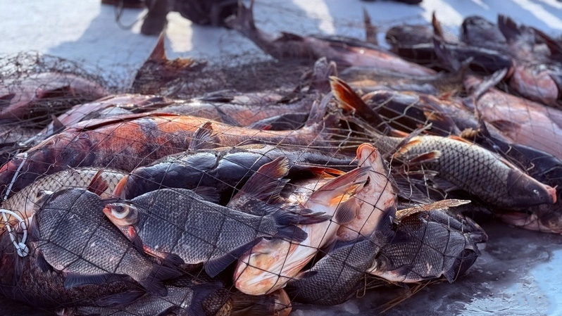 1768526904646684.jpg 4.jpg